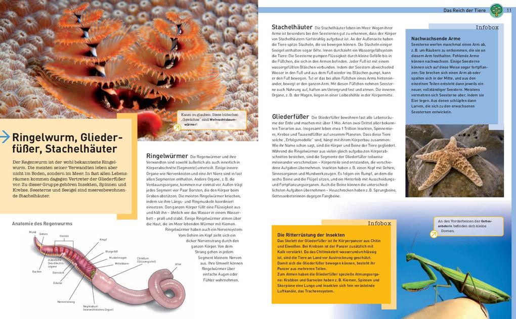 Weitere Ansicht: Tiere der Welt | Eva Maria Marquart