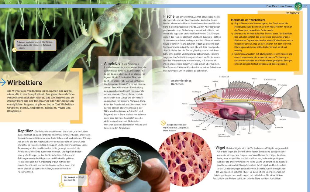 Weitere Ansicht: Tiere der Welt | Eva Maria Marquart