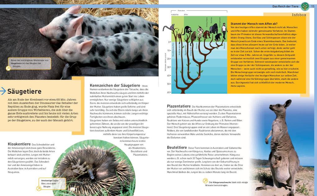 Weitere Ansicht: Tiere der Welt | Eva Maria Marquart