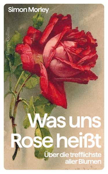 Produktbild: Was uns Rose heißt. Über die trefflichste aller Blumen | Simon Morley