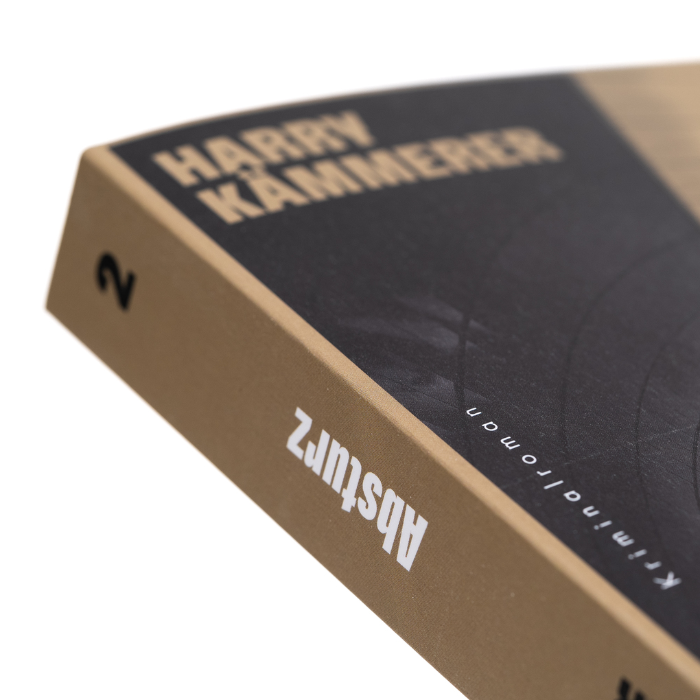 Weitere Ansicht: Absturz | Harry Kämmerer