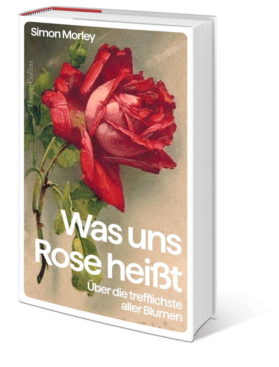 Weitere Ansicht: Was uns Rose heißt. Über die trefflichste aller Blumen | Simon Morley
