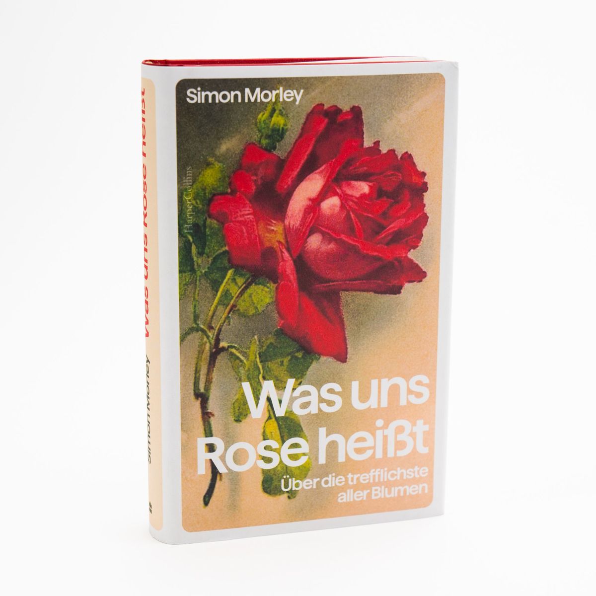 Weitere Ansicht: Was uns Rose heißt. Über die trefflichste aller Blumen | Simon Morley