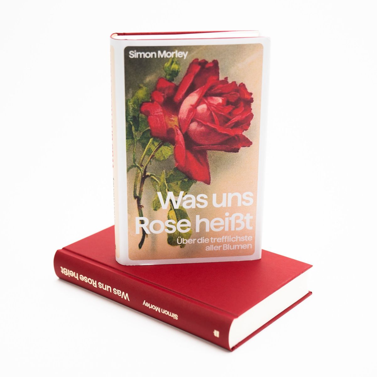 Weitere Ansicht: Was uns Rose heißt. Über die trefflichste aller Blumen | Simon Morley