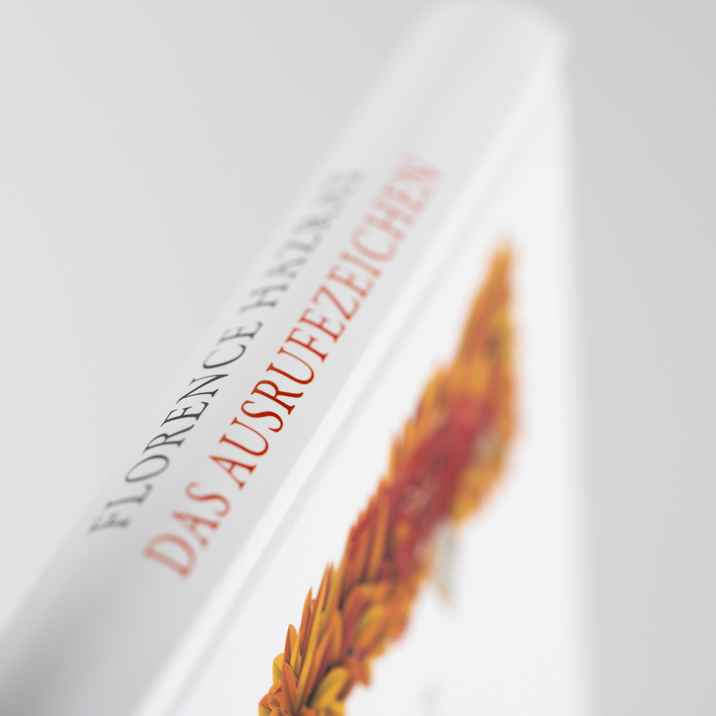 Weitere Ansicht: Das Ausrufezeichen. Eine rebellische Geschichte | Florence Hazrat