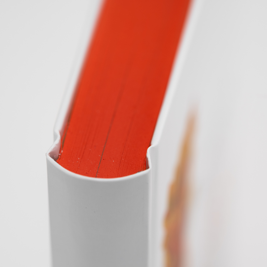 Weitere Ansicht: Das Ausrufezeichen. Eine rebellische Geschichte | Florence Hazrat