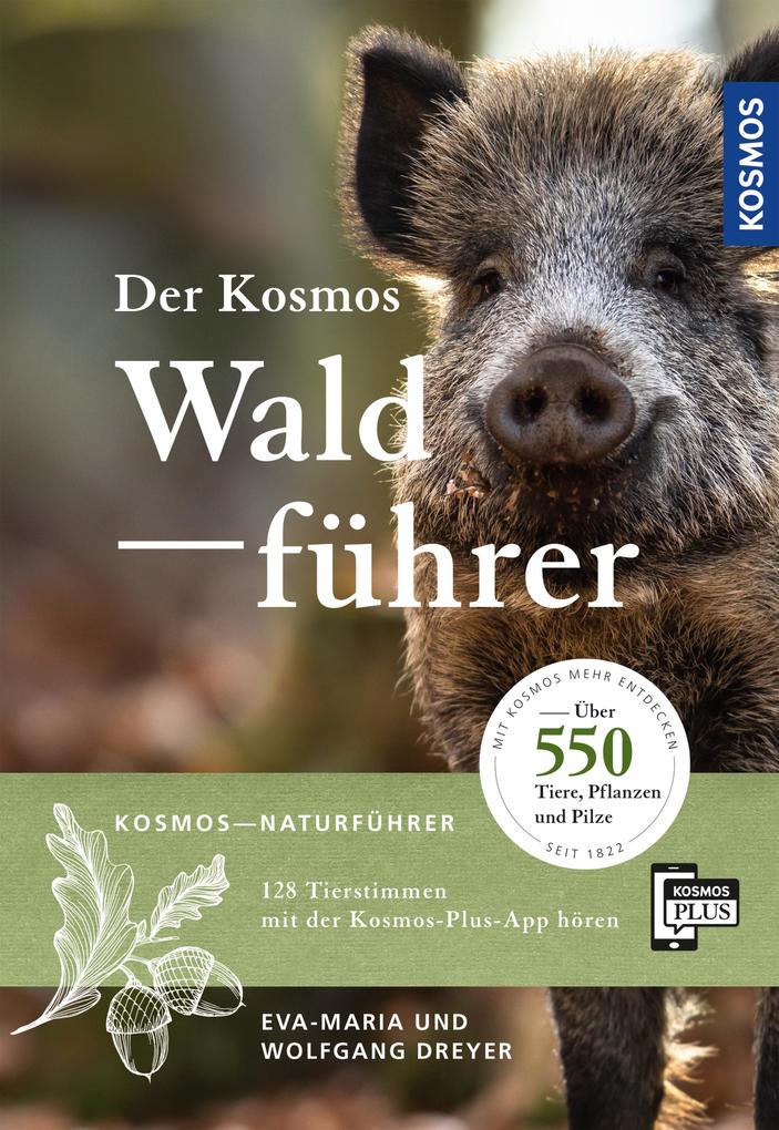 Produktbild: Der Kosmos Waldführer | Wolfgang Dreyer, Eva-Maria Dreyer