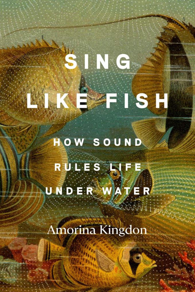 Produktbild: Sing Like Fish | Amorina Kingdon