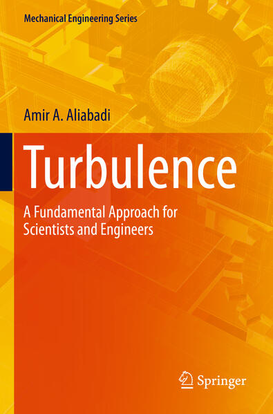 Produktbild: Turbulence | Amir A. Aliabadi