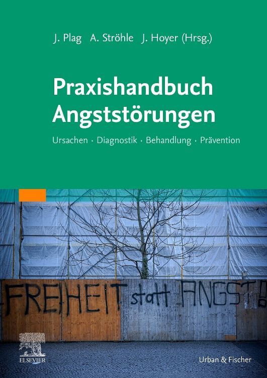 Produktbild: Praxishandbuch Angststörungen