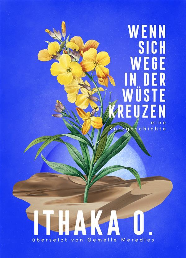Produktbild: Wenn sich Wege in der Wüste kreuzen | Ithaka O.