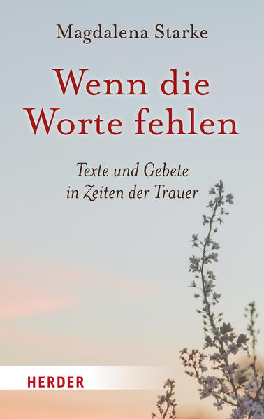 Produktbild: Wenn die Worte fehlen | Magdalena Starke