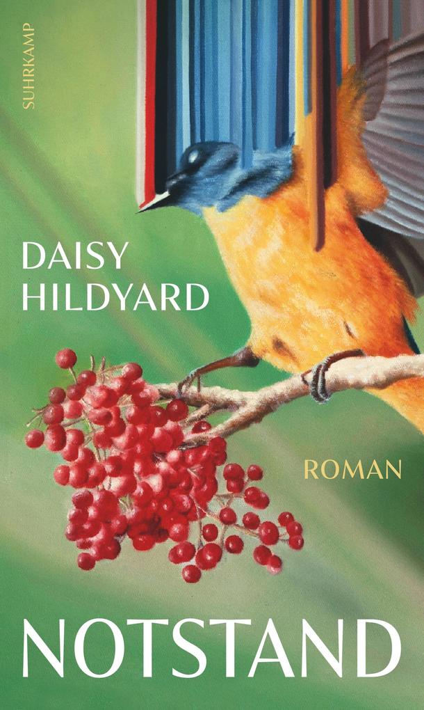 Produktbild: Notstand | Daisy Hildyard