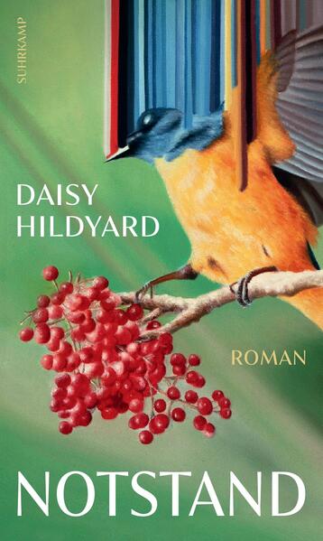 Produktbild: Notstand | Daisy Hildyard