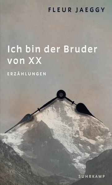 Produktbild: Ich bin der Bruder von XX | Fleur Jaeggy