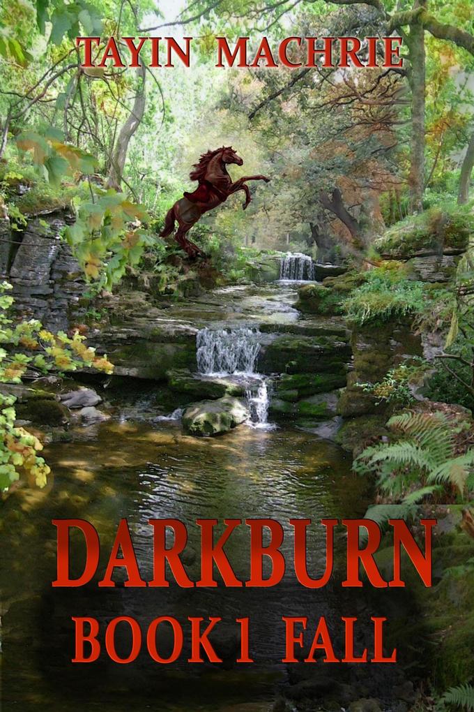 Produktbild: Darkburn Book 1: Fall | Tayin Machrie