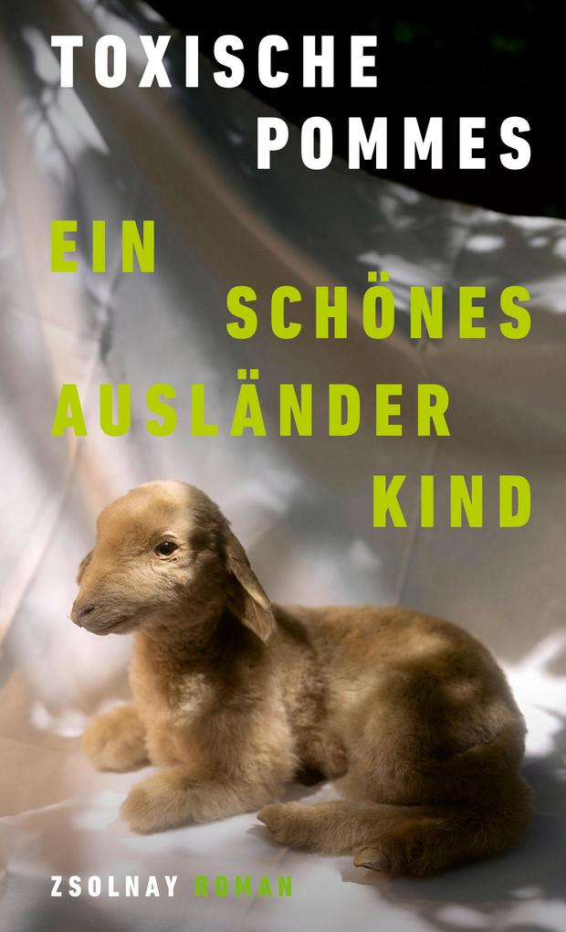 Produktbild: Ein schönes Ausländerkind | Toxische Pommes