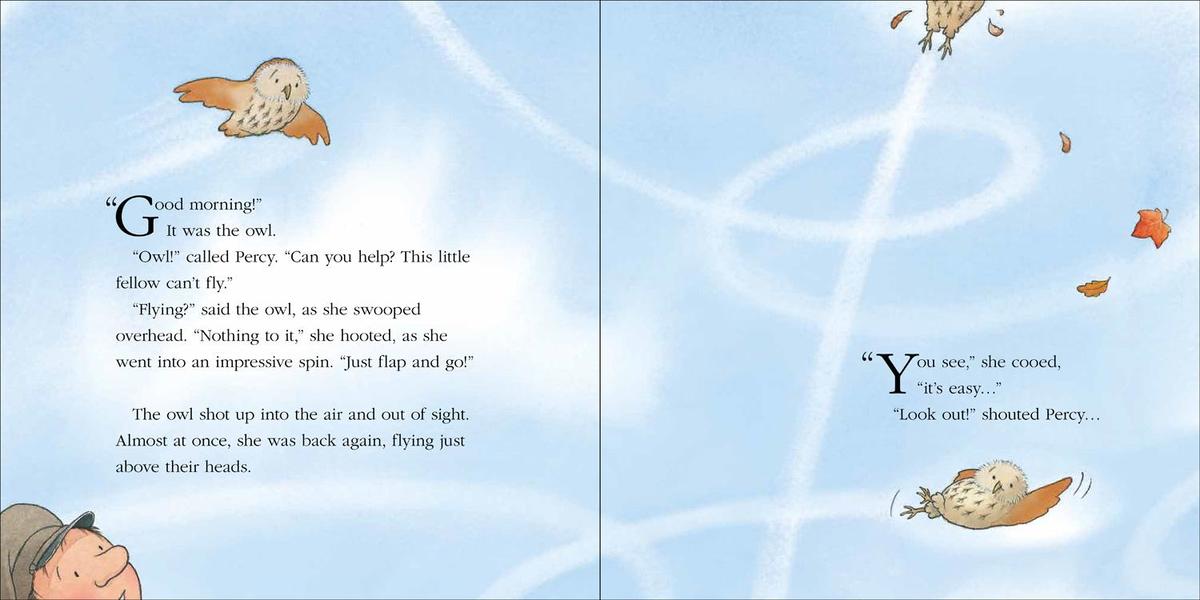 Weitere Ansicht: Owl's Lesson | Nick Butterworth