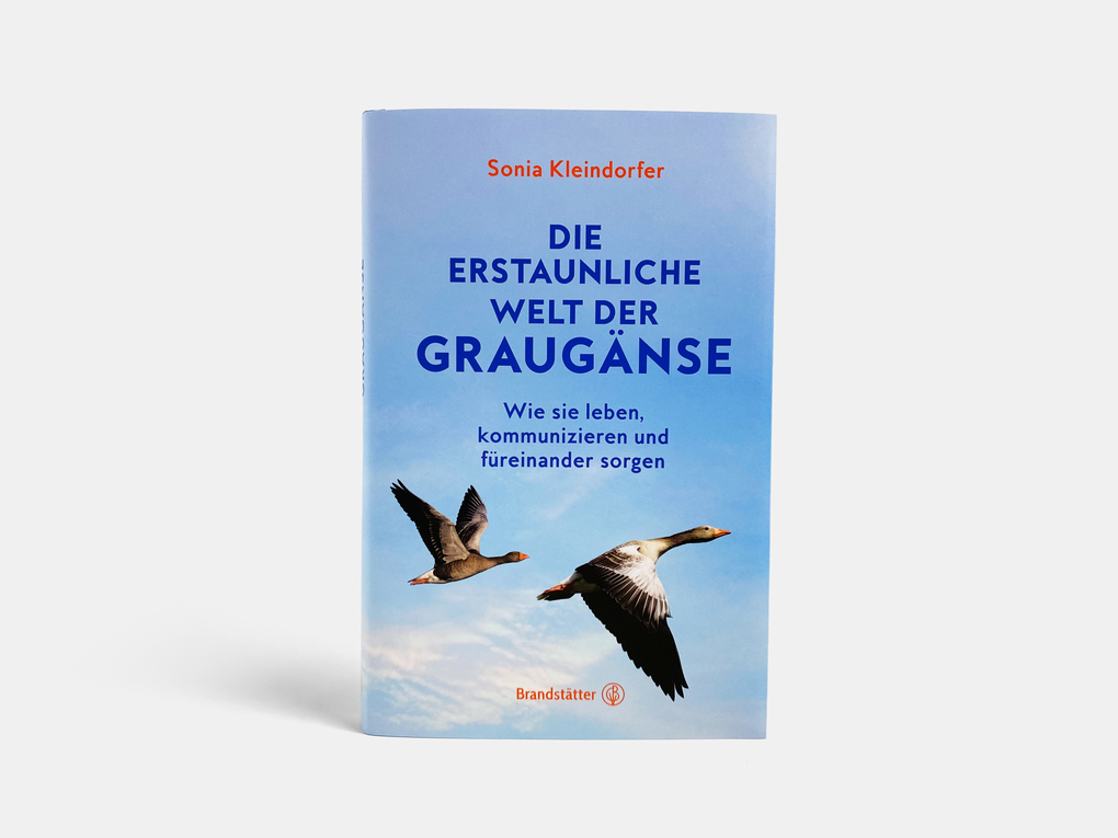 Weitere Ansicht: Die erstaunliche Welt der Graugänse | Sonia Kleindorfer