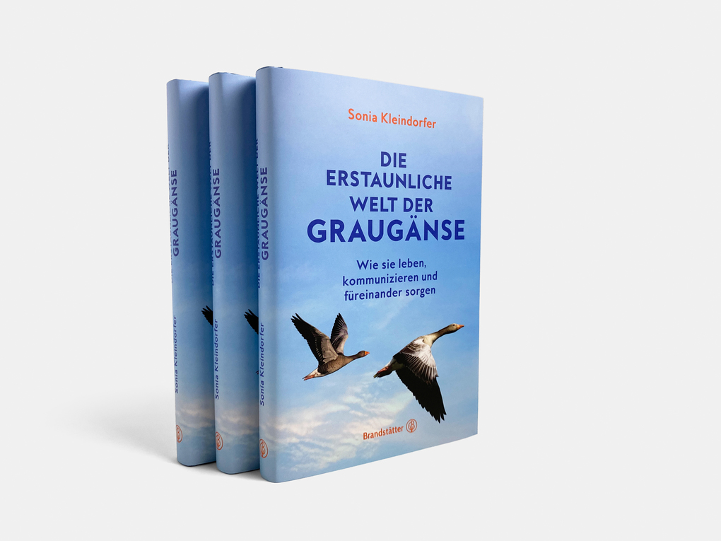 Weitere Ansicht: Die erstaunliche Welt der Graugänse | Sonia Kleindorfer