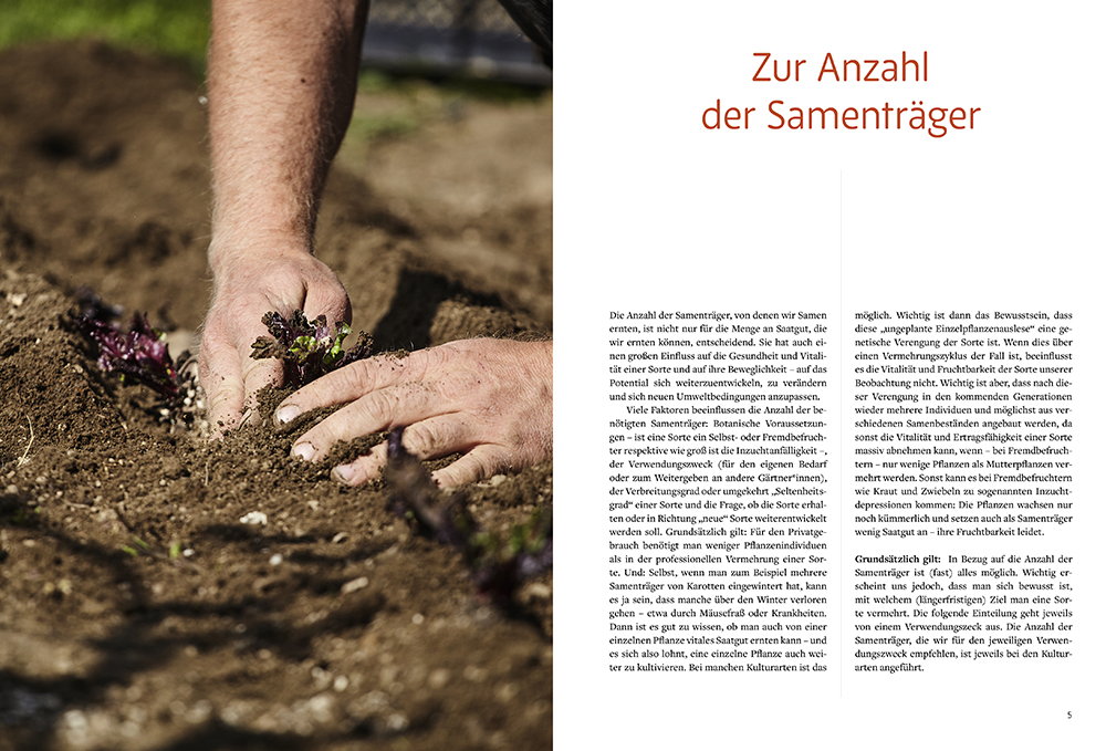 Weitere Ansicht: Handbuch Samengärtnerei | Andrea Heistinger
