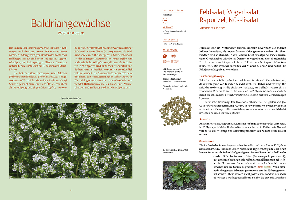 Weitere Ansicht: Handbuch Samengärtnerei | Andrea Heistinger