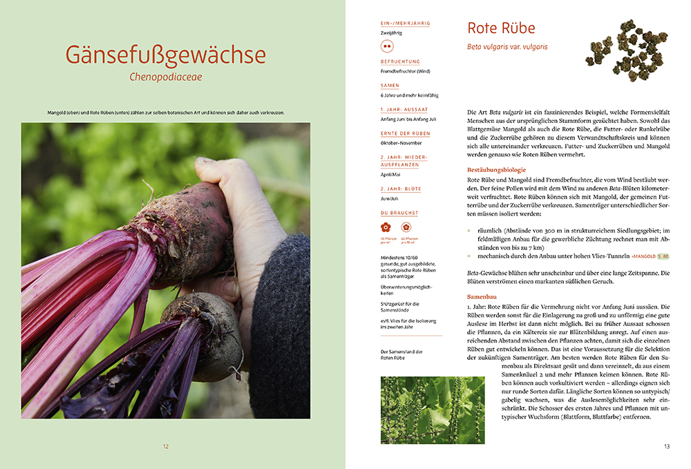 Weitere Ansicht: Handbuch Samengärtnerei | Andrea Heistinger