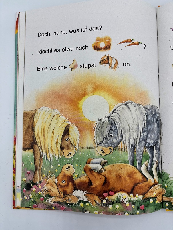 Weitere Ansicht: Pepe, das kleine Zauberpony | Stefanie Dahle