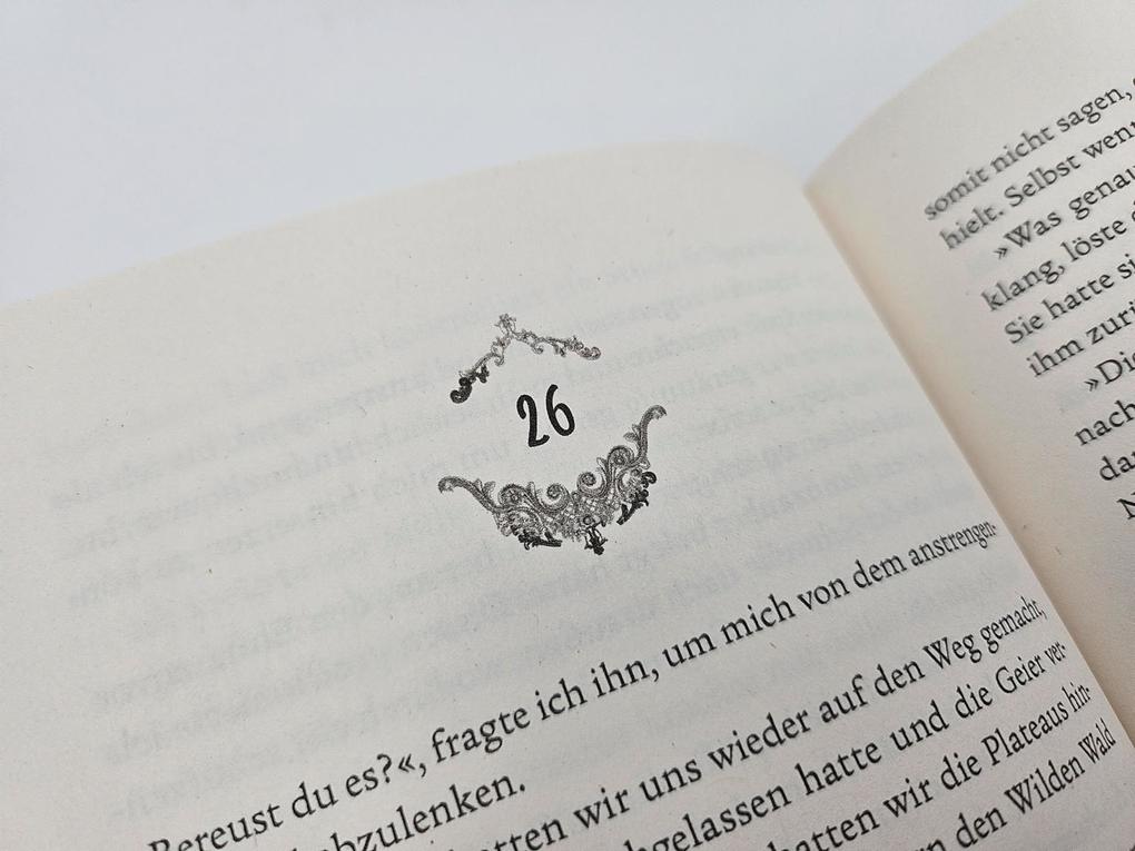 Weitere Ansicht: Night of Shadows and Flames - Die Ewige Nacht | Laura Labas