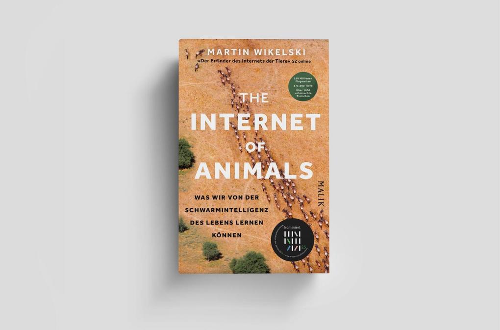 Weitere Ansicht: The Internet of Animals: Was wir von der Schwarmintelligenz des Lebens lernen können | Martin Wikelski