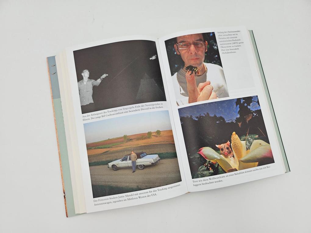 Weitere Ansicht: The Internet of Animals: Was wir von der Schwarmintelligenz des Lebens lernen können | Martin Wikelski