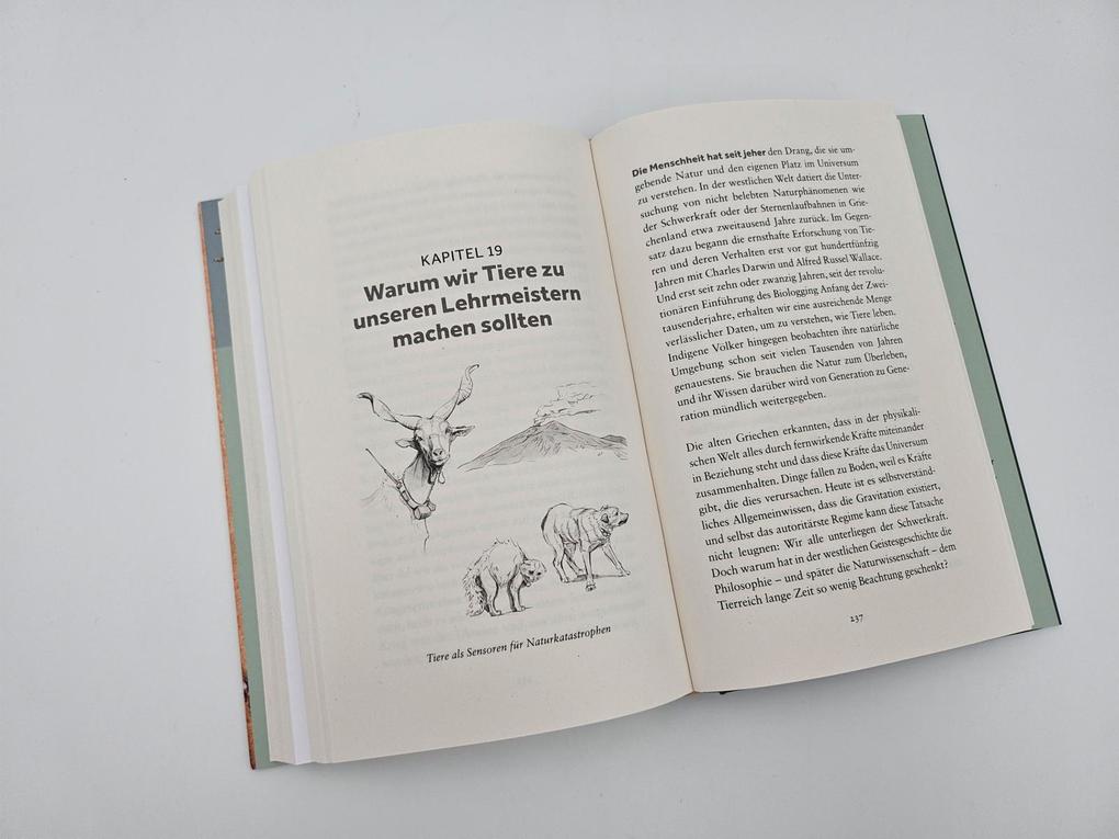 Weitere Ansicht: The Internet of Animals: Was wir von der Schwarmintelligenz des Lebens lernen können | Martin Wikelski