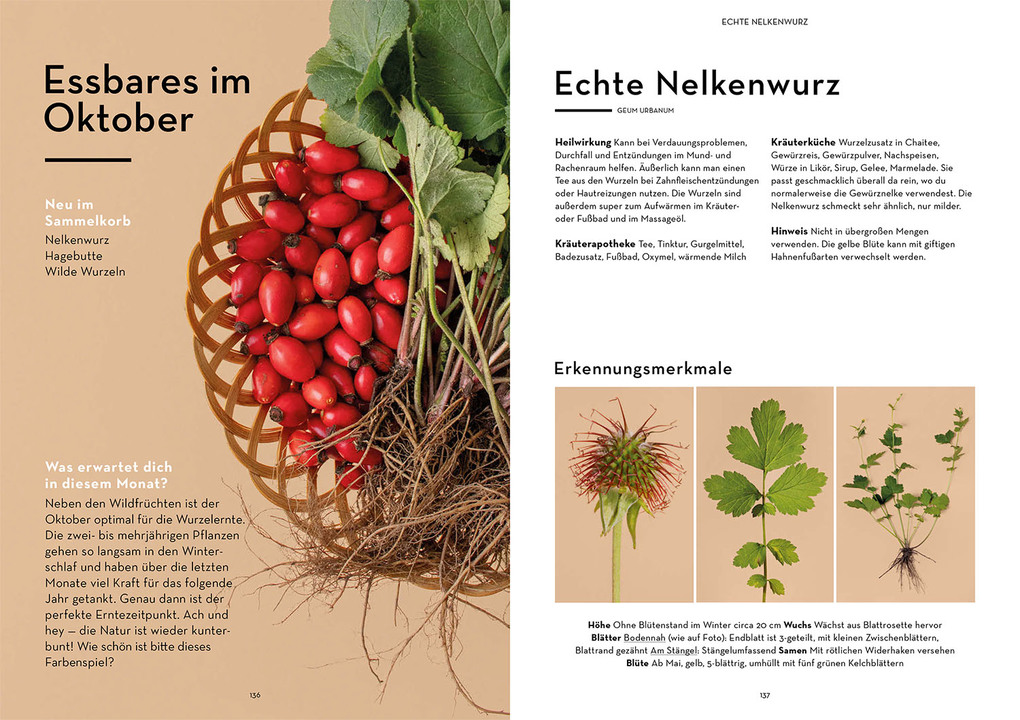 Weitere Ansicht: Wild durchs Jahr | Isabel Fischer