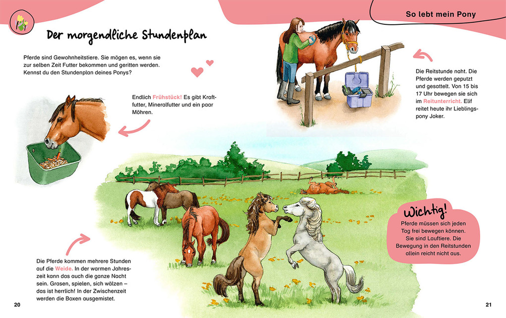 Weitere Ansicht: Mein erstes Pferdebuch. Mit Pferderassen von A-Z | Christiane Kächler-Kröck