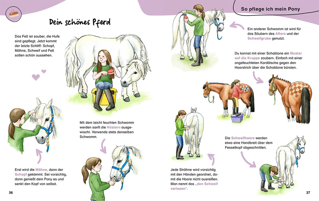 Weitere Ansicht: Mein erstes Pferdebuch. Mit Pferderassen von A-Z | Christiane Kächler-Kröck