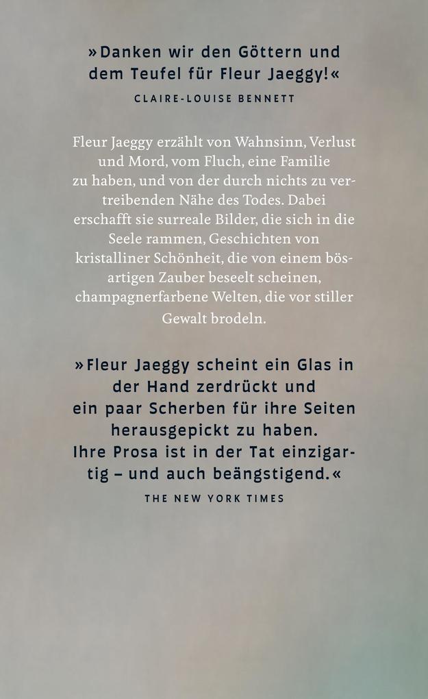 Weitere Ansicht: Ich bin der Bruder von XX | Fleur Jaeggy