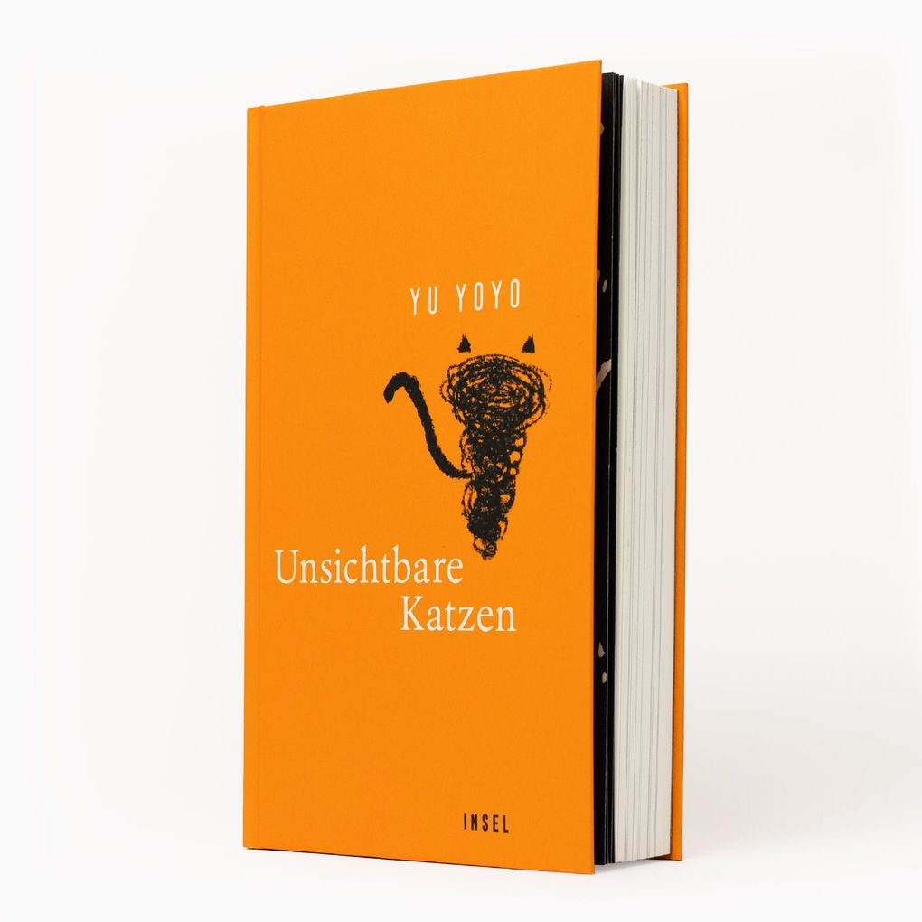 Weitere Ansicht: Unsichtbare Katzen | Yu Yoyo