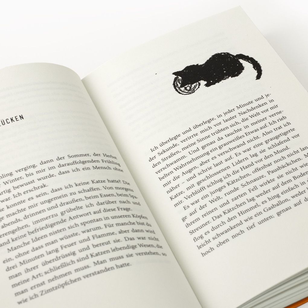 Weitere Ansicht: Unsichtbare Katzen | Yu Yoyo
