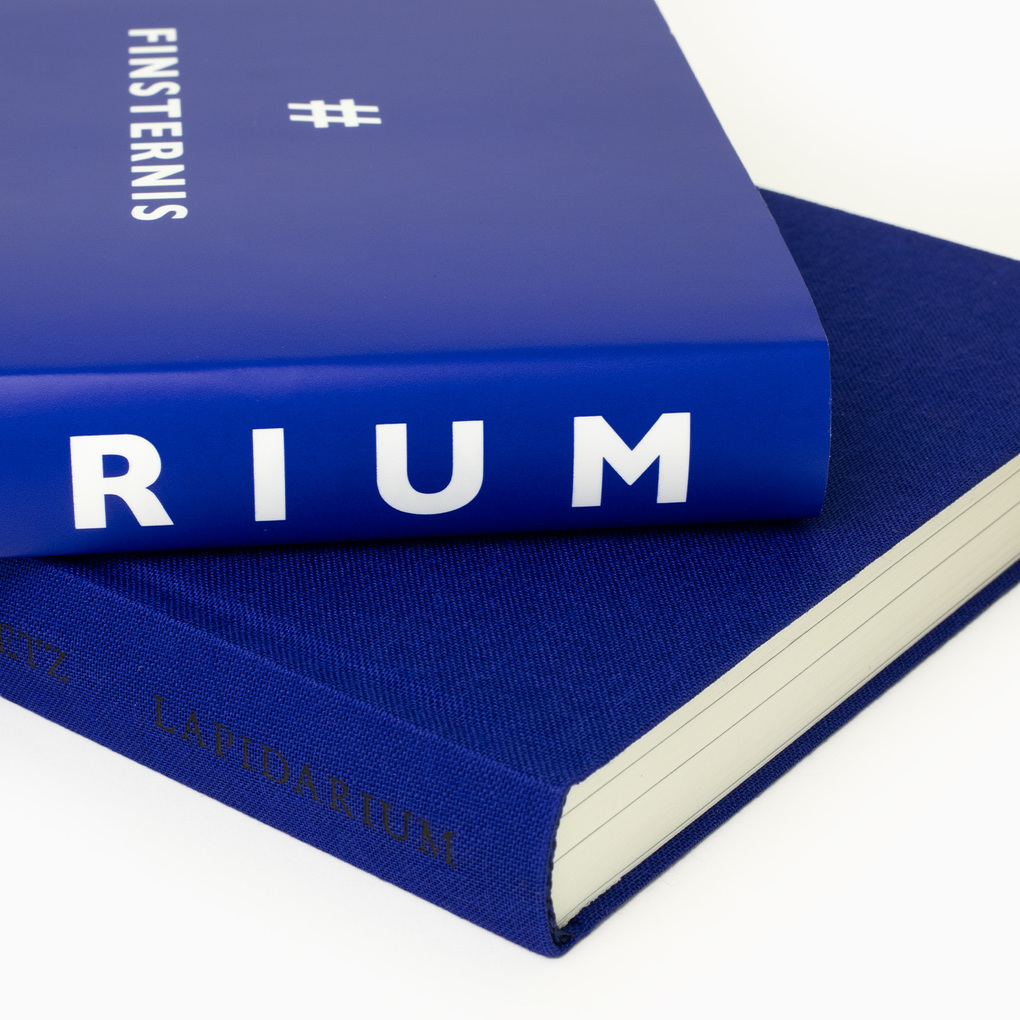 Weitere Ansicht: Lapidarium | Rainald Goetz