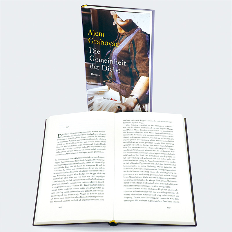 Weitere Ansicht: Die Gemeinheit der Diebe | Alem Grabovac