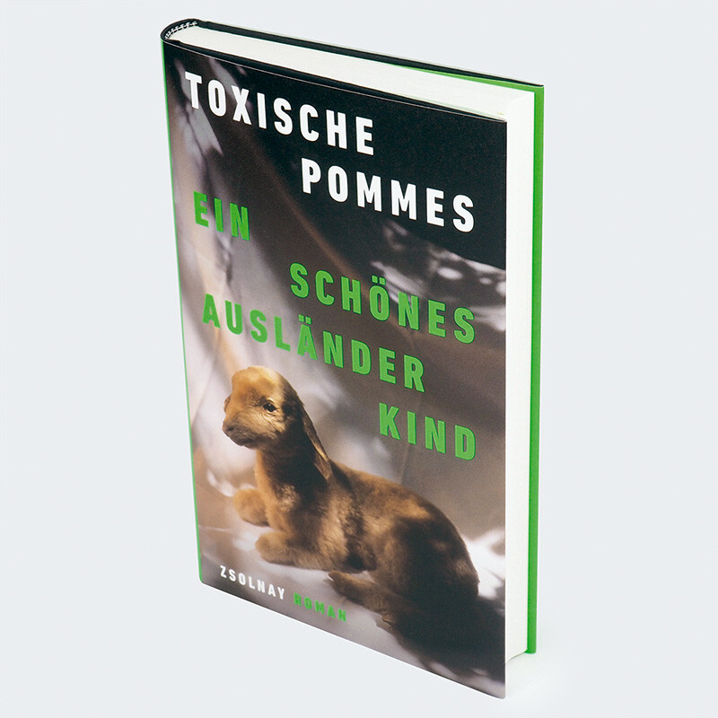 Weitere Ansicht: Ein schönes Ausländerkind | Toxische Pommes