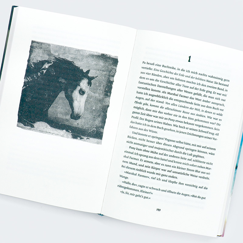 Weitere Ansicht: Pony | R. J. Palacio