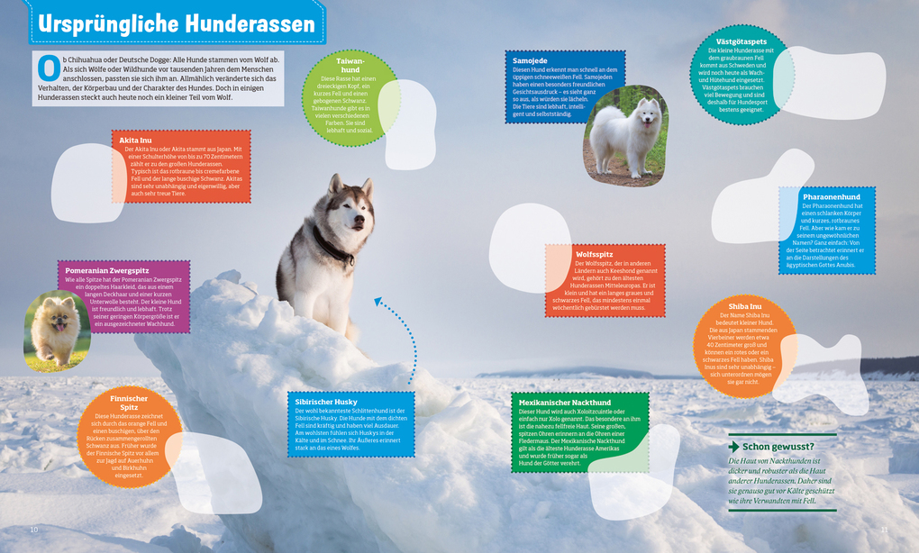 Weitere Ansicht: WAS IST WAS Stickerheft Hunde | Carolin Langbein