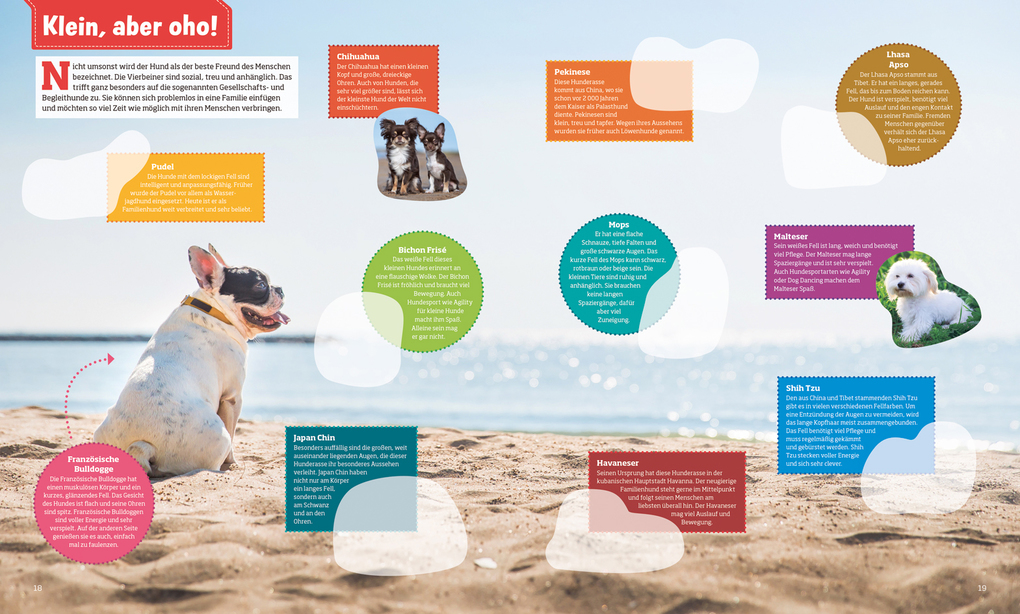 Weitere Ansicht: WAS IST WAS Stickerheft Hunde | Carolin Langbein