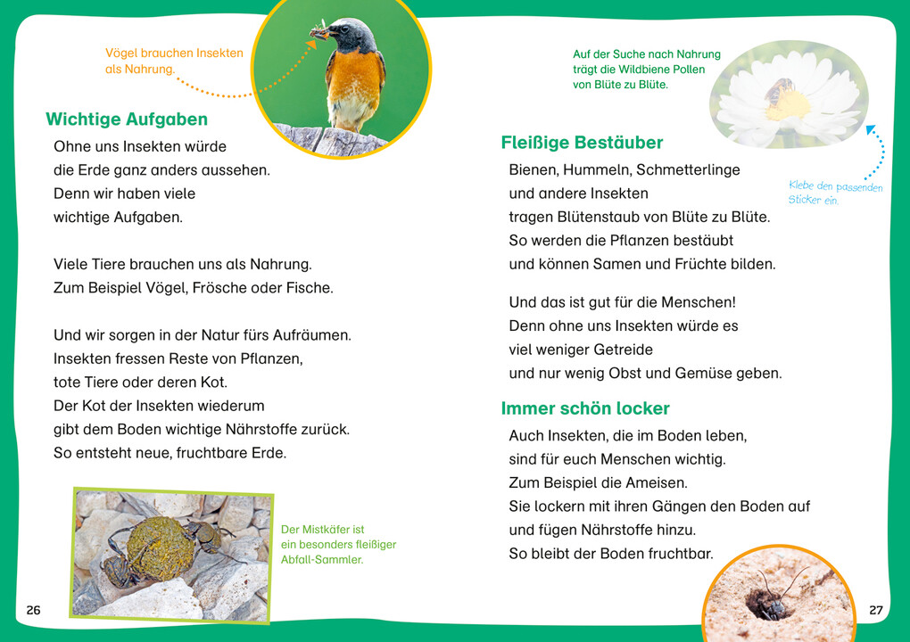 Weitere Ansicht: WAS IST WAS Erstes Lesen. Leserätsel Insekten | Christina Braun