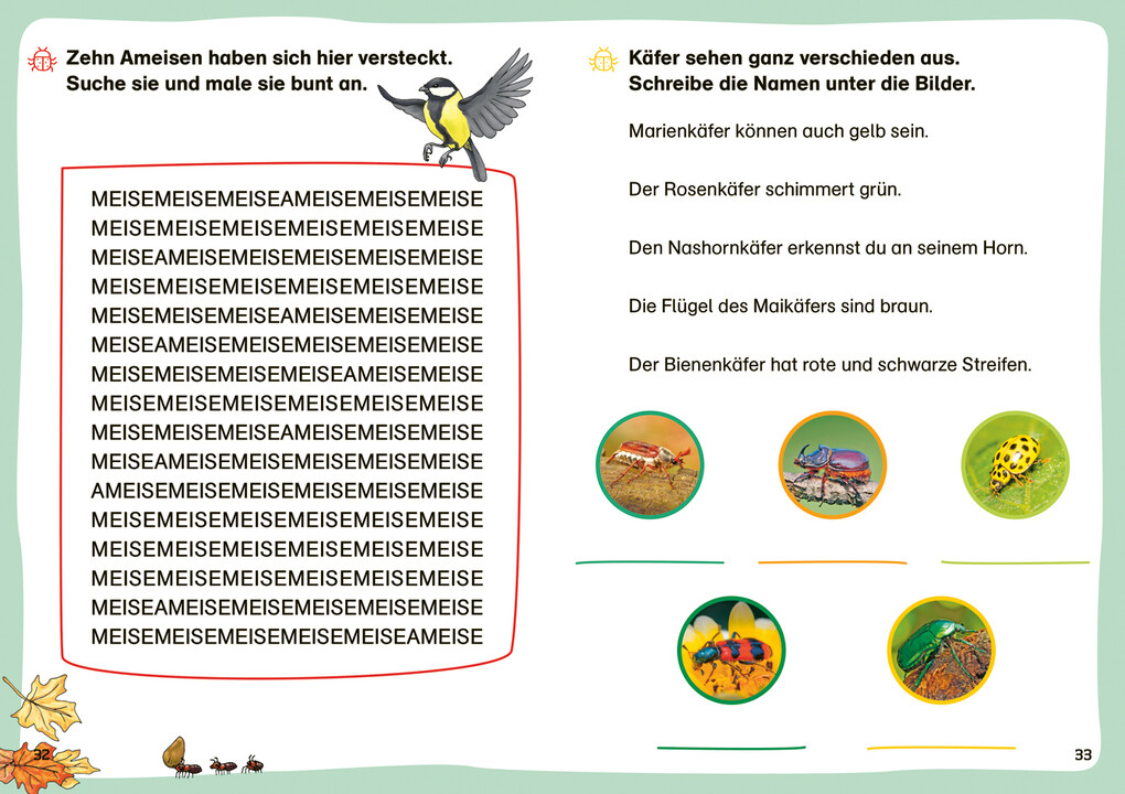Weitere Ansicht: WAS IST WAS Erstes Lesen. Leserätsel Insekten | Christina Braun