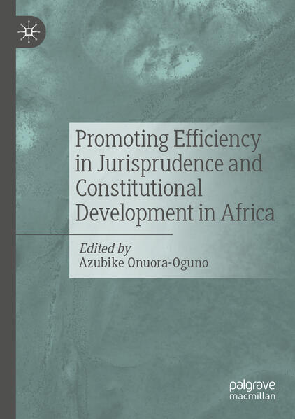 Produktbild: Promoting Efficiency in Jurisprudence and Constitutional Development in Africa