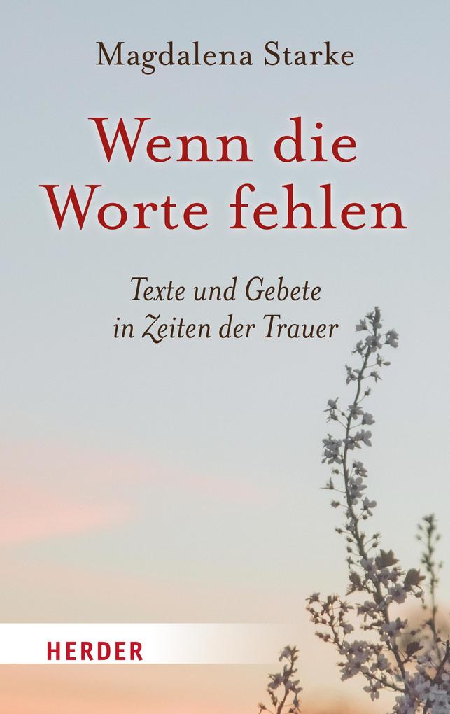 Produktbild: Wenn die Worte fehlen | Magdalena Starke