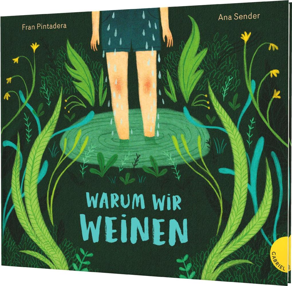 Produktbild: Warum wir weinen | Fran Pintadera