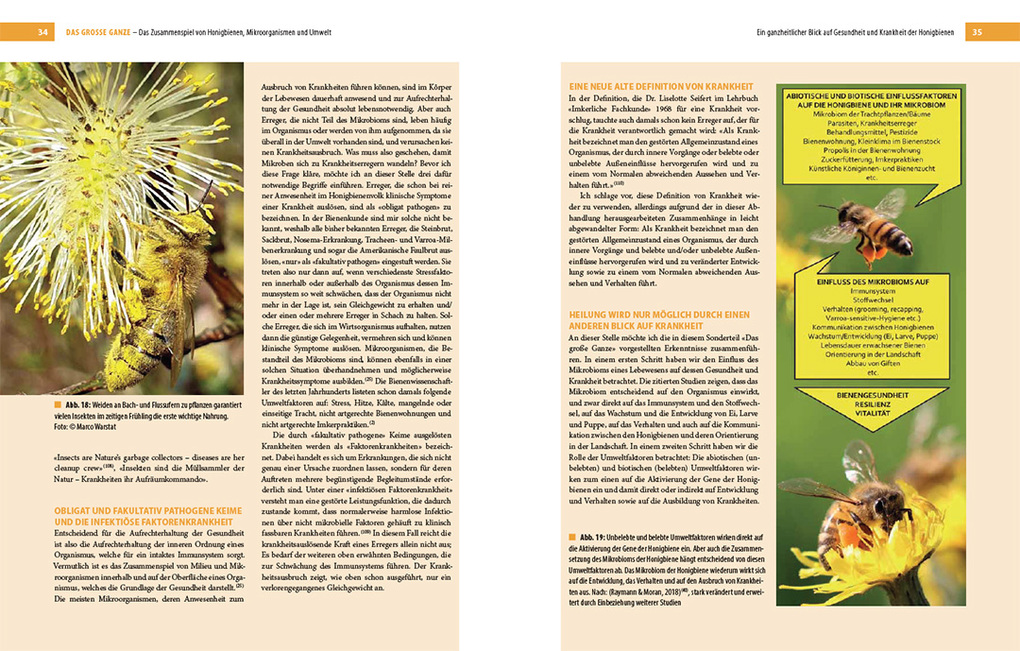 Weitere Ansicht: Bienenbau und Bienenbeute | Roland Sachs, Sigrun Mittl